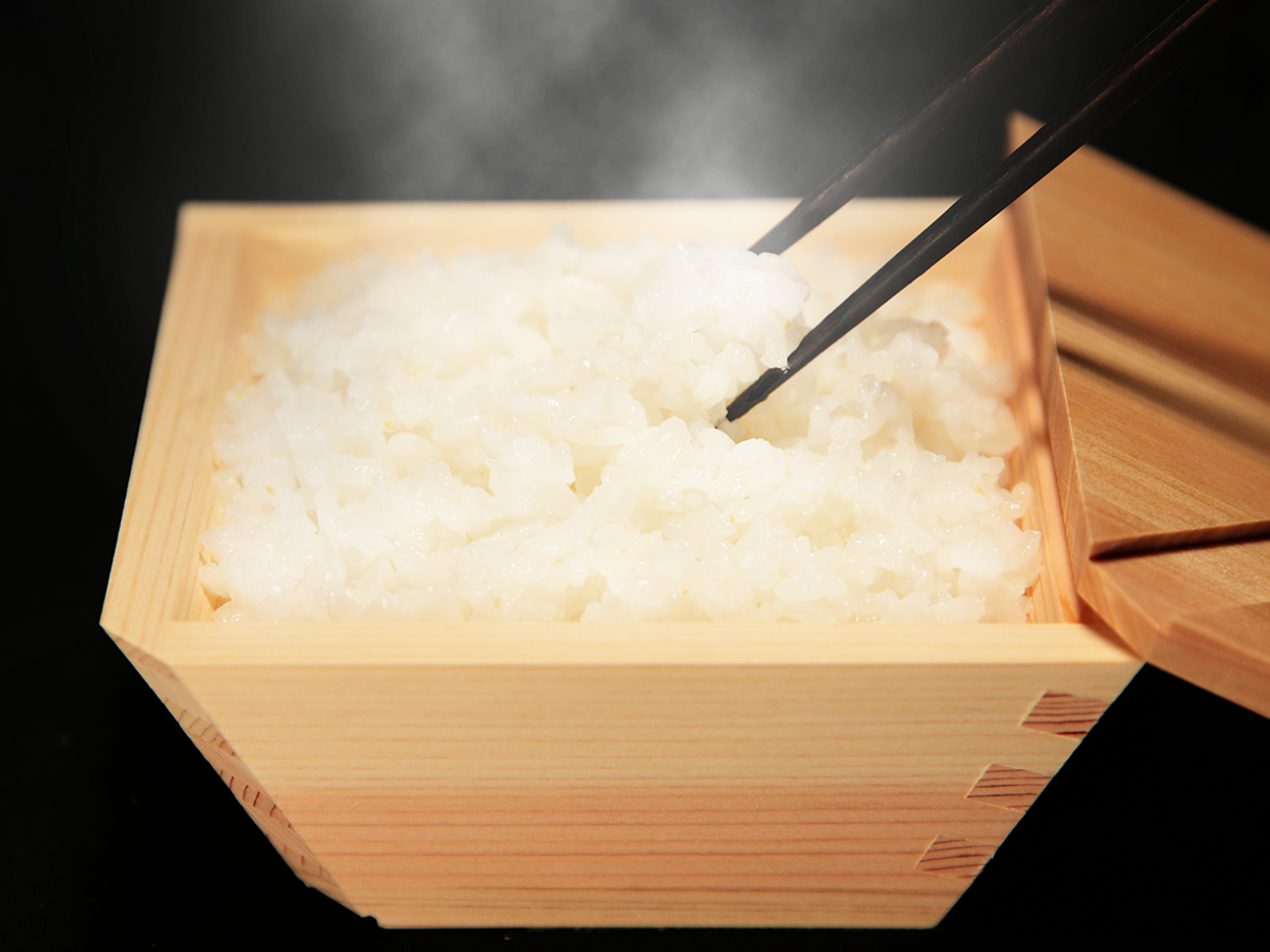 【国産ひのき】木製の冷凍ご飯容器 枡のおひつ COBITSU