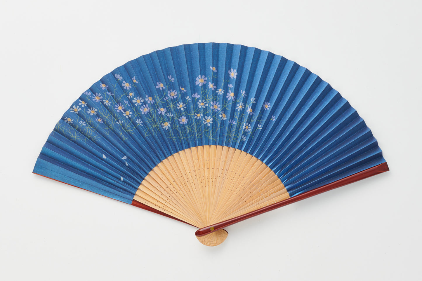 秋桜 紺色
